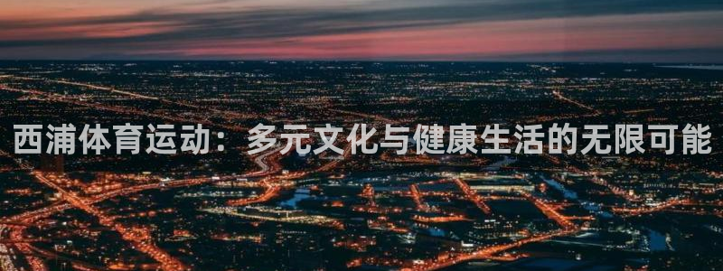 vsport体育在线官网