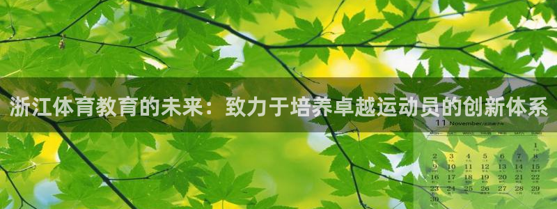 vsport体育在线官网