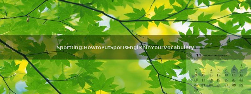 vsport体育在线官网