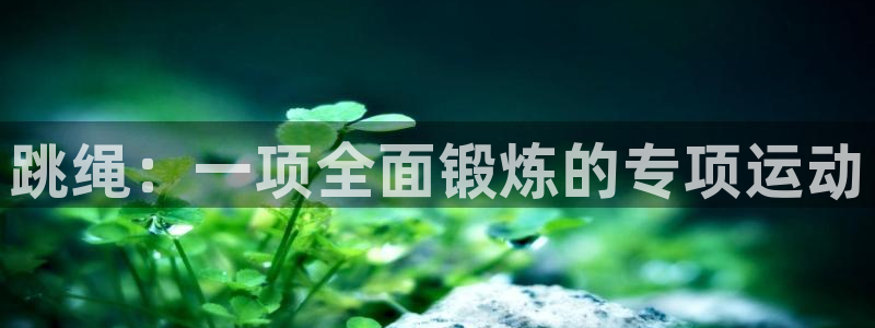vsport体育在线官网