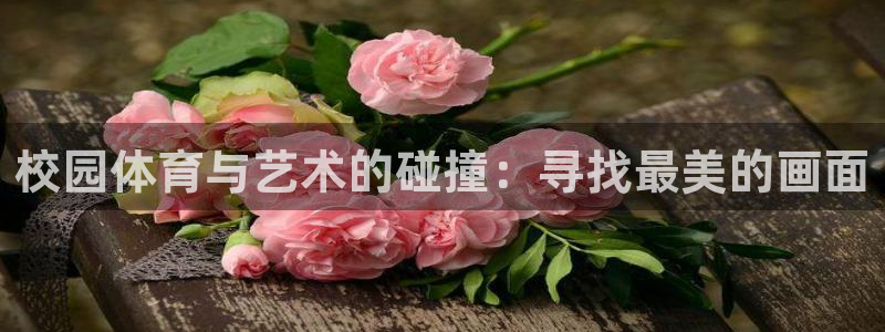 vsport体育在线官网