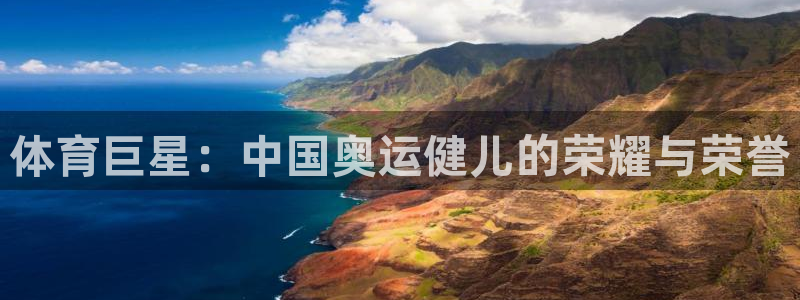 vsport体育在线官网