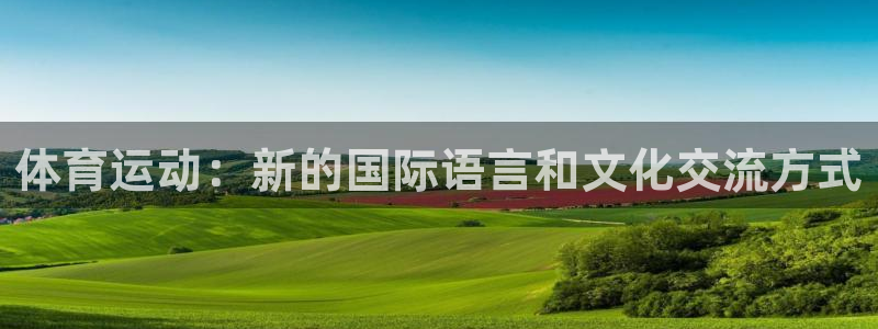 vsport体育在线官网