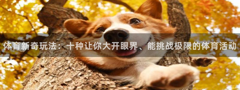 vsport体育在线官网