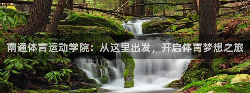 vsport体育在线官网
