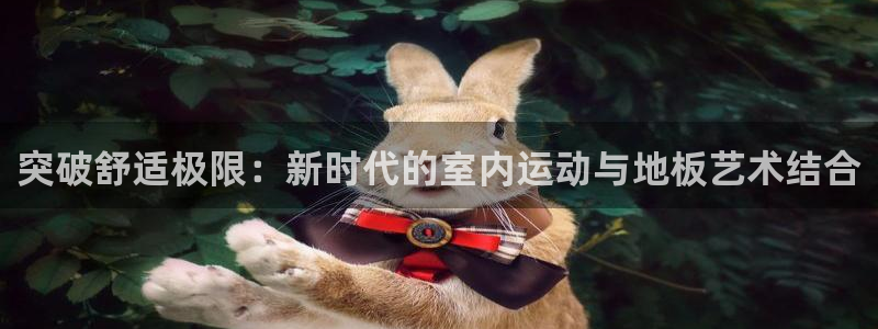 vsport体育