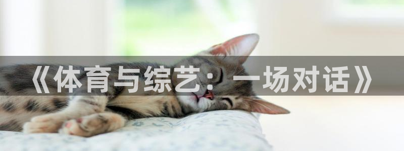 vsport体育
